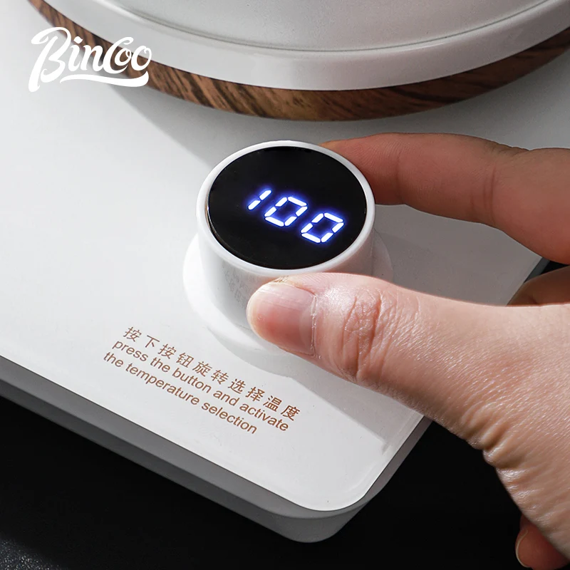Bincoo Handgebrouwen Koffiepot - Electric Kettle Temperature Control recensie en prijs